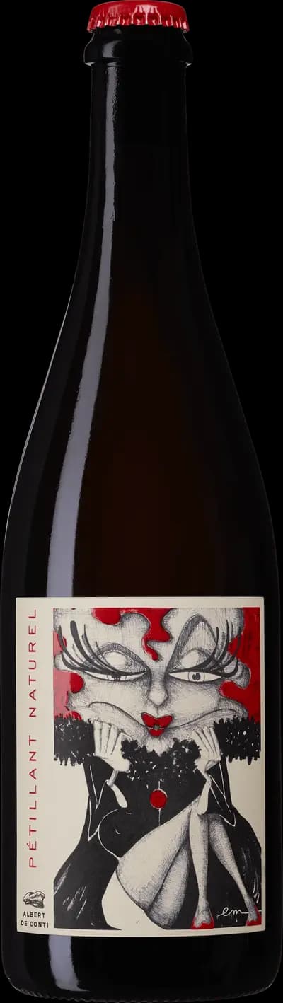 Produktbild för Albert de Conti