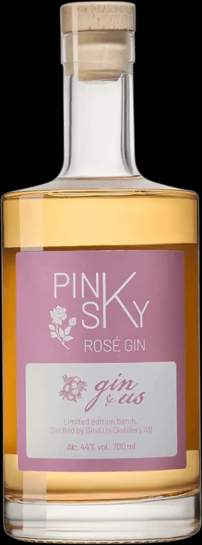 Produktbild för Gin & Us
