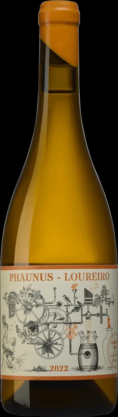 Produktbild för Adega Aphros Wine