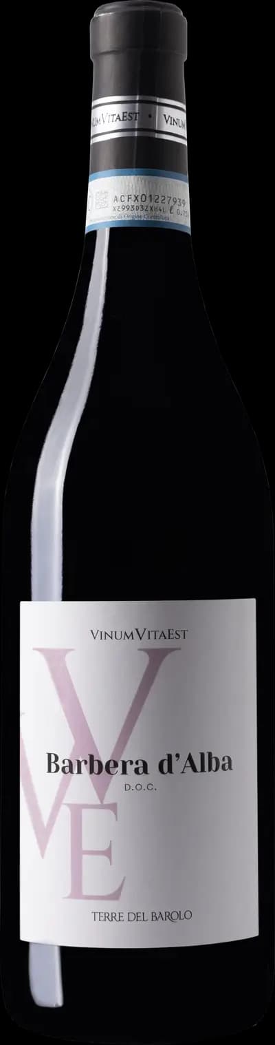 Vinum Vita Est Barbera d'Alba, Terre del Barolo, 2022, Flaska, 750 ml