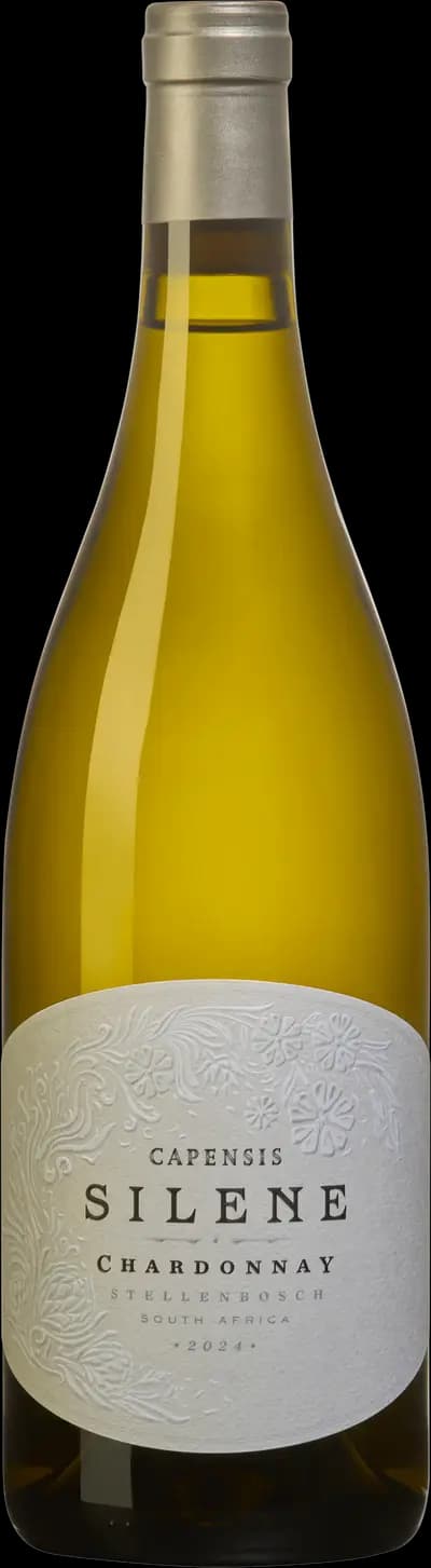 Produktbild för Capensis Silene