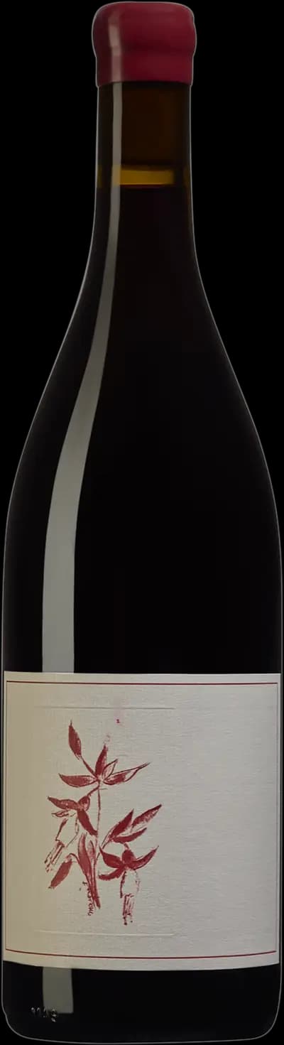 Produktbild för Arnot-Roberts