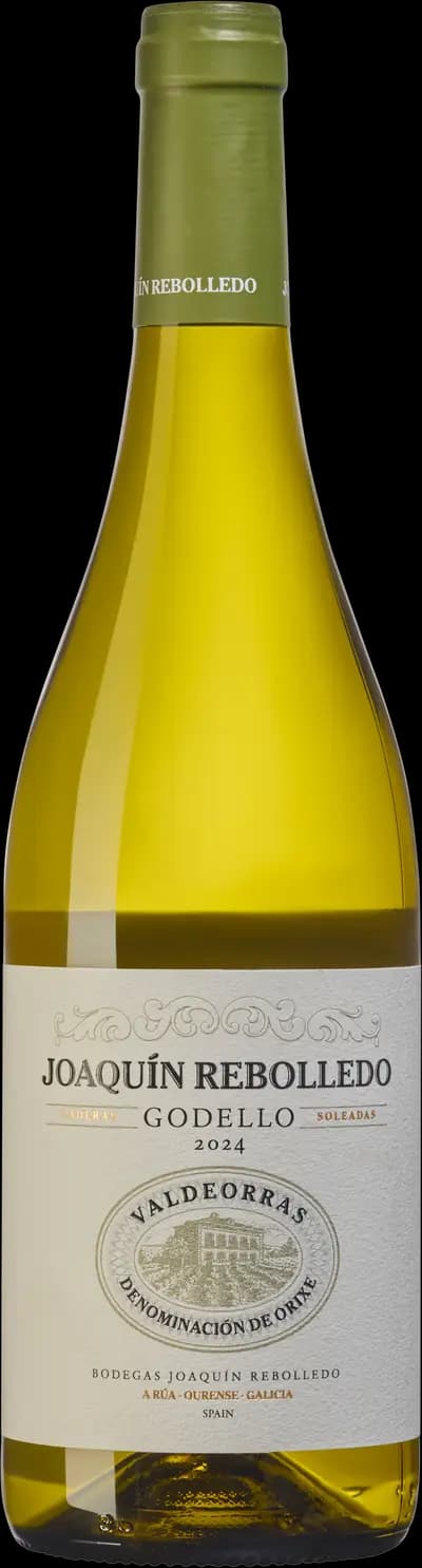 Produktbild för Joaquín Rebolledo