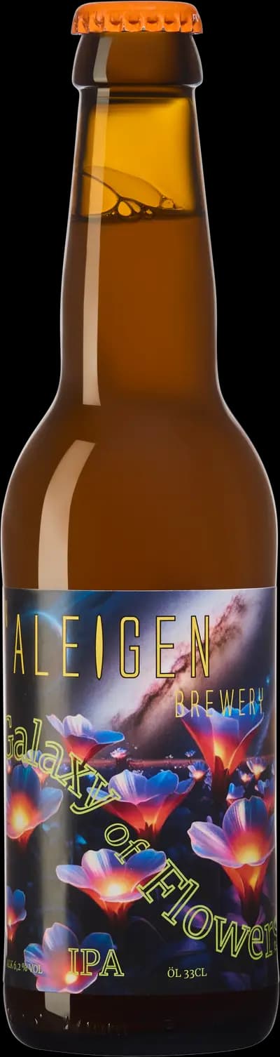 Produktbild för En Aleigen Brewery