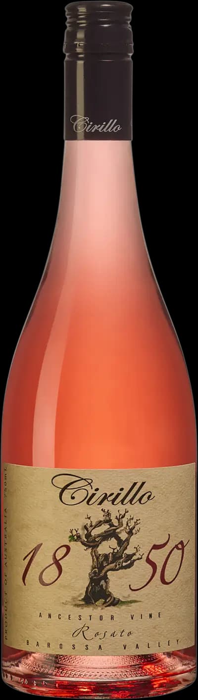 Produktbild för 1850 Ancestor Vine Rosato