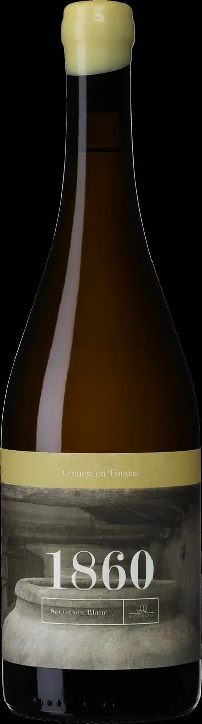Produktbild för Bodegas Cano