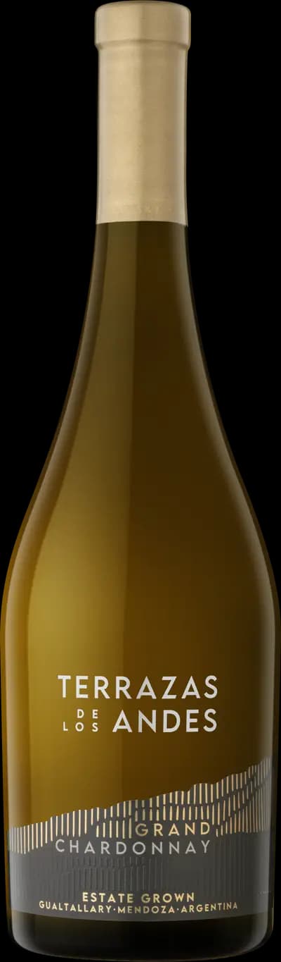 Produktbild för Terrazas de los Andes