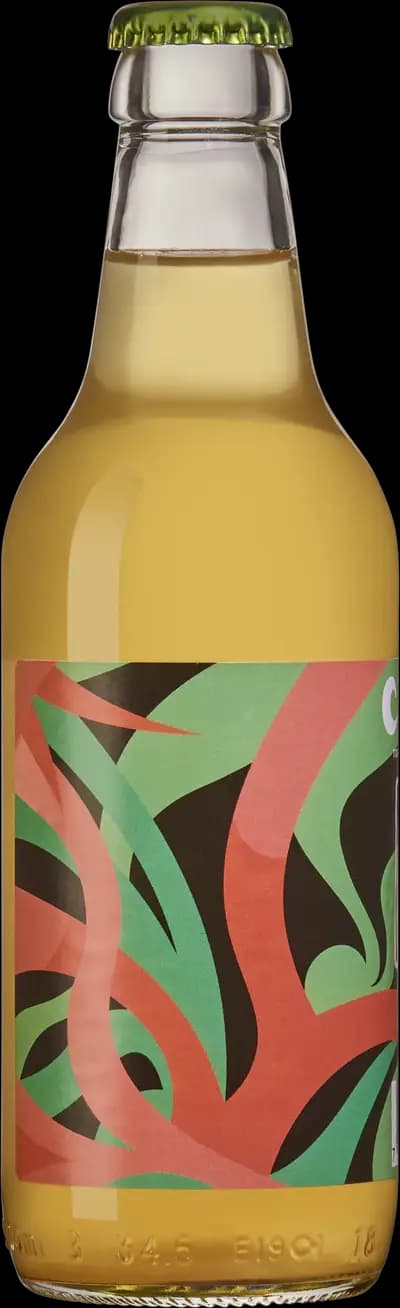 Produktbild för Dryg cider
