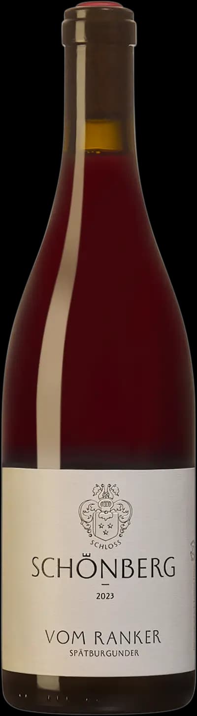 Produktbild för Weingut Schloss Schönberg