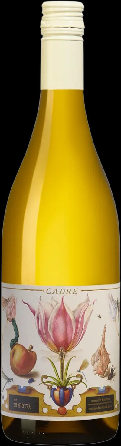 Cadre Stone Blossom, Sauvignon blanc, 2024, Flaska, 750 ml