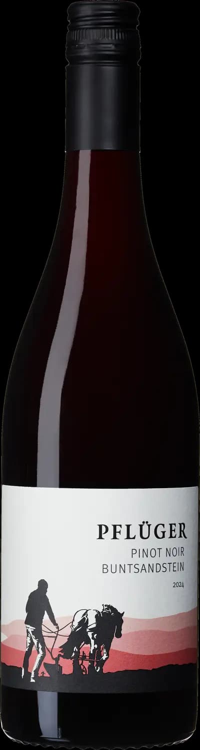 Pflüger, Pinot Noir Buntsandstein, 2024, Flaska, 750 ml