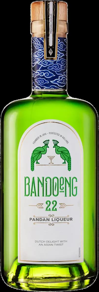 Produktbild för Bandoeng'22